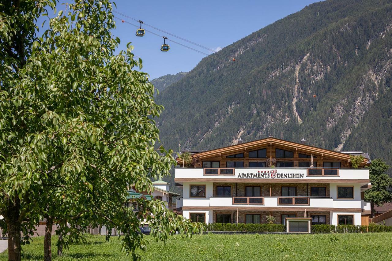 Apartments Edenlehen Mayrhofen Exteriér fotografie